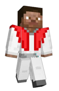 HashBrosTrollsG's Minecraft skin