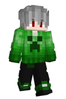 229tman Minecraft avatar full body