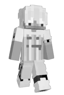 22O8 Minecraft avatar full body