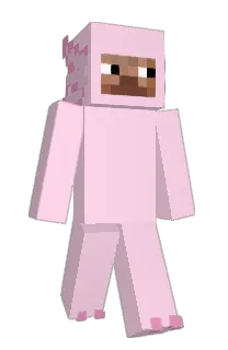 Front of hetheyta's skin