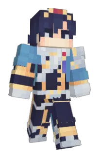 Front of CoasterRider's skin