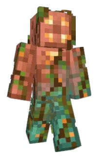 Front of Zielen's skin