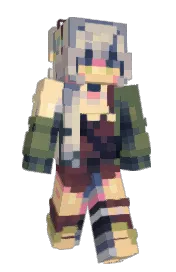 Skin preview