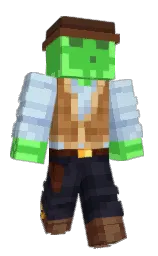Minecraft skin — Classic model