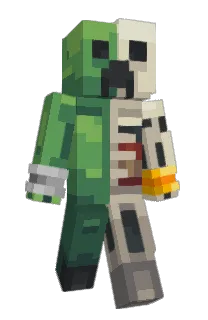 Front of Confilm's skin