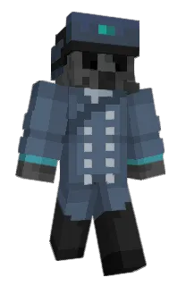 Front of Rovair's skin
