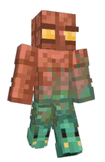 Front of P0L10's skin