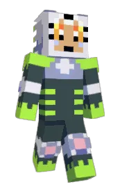 Skin preview