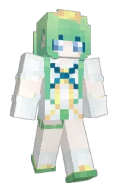 Skin preview