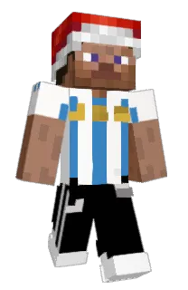 Front of Wiiiimpy's skin