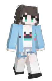 Skin preview