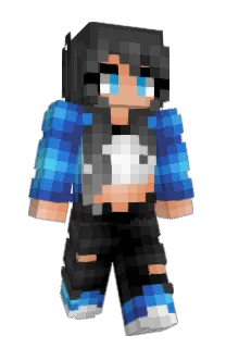 Front of Cibermaxi's skin