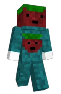 Front of Minecraft skin