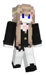 Minecraft skin — Classic model