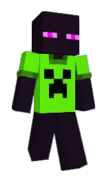 Minecraft skin — Classic model