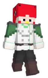 Minecraft skin — Classic model
