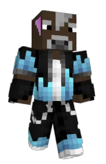 Front of dracetora's skin