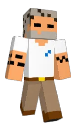 Minecraft skin — Classic model