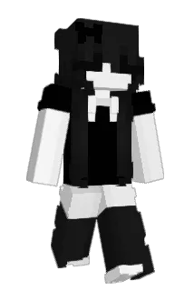 2348 Minecraft avatar full body