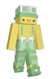 Skin preview