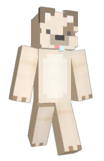 Front of Minecraft skin