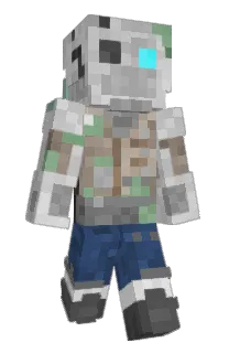 SHENNERS's Minecraft skin