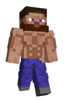 Front of InteTim's skin