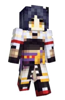 Front of CoasterRider's skin