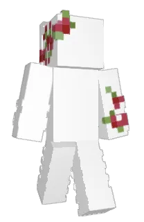 sairakun's Minecraft skin