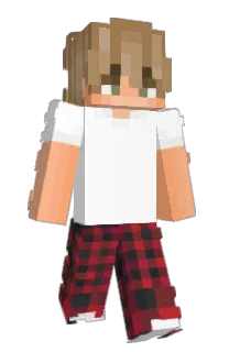 Front of JakeD11's skin