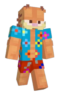 BirkJP's Minecraft skin
