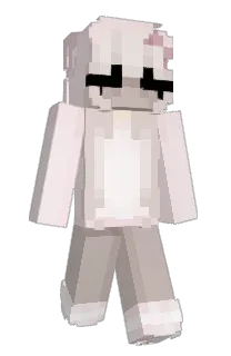 Front of vasiet's skin