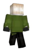 surnry