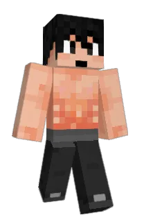 asity's Minecraft skin