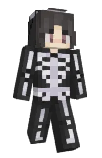 Front of Meiik's skin