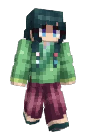Skin preview