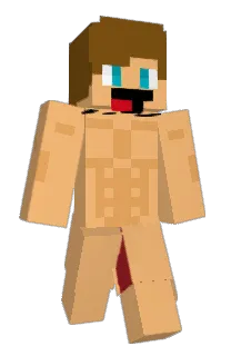 Front of Triad3D's skin