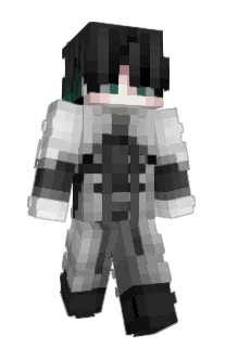 Front of iProfyle's skin