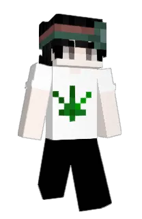 Front of cafys's skin