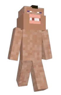 Front of Zorino's skin