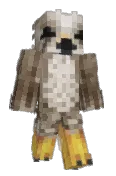 Soko