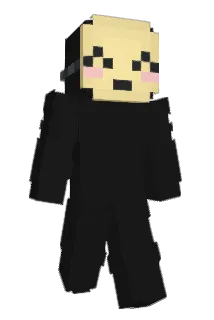 23charizard Minecraft avatar full body