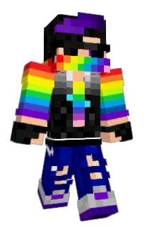 Front of PowerPunchh's skin