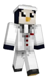 white and gallery Minecraft skin — Classic model — first worn by Pdity