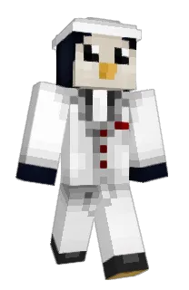 Front of Pdity's skin