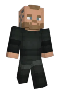 23po8 Minecraft avatar full body