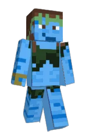 Skin preview