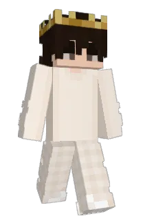 Front of Billidk's skin