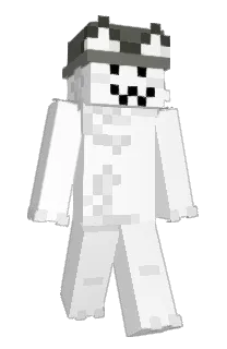 Front of NikoTacos's skin