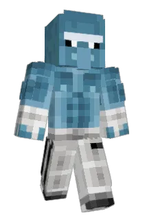 240x11 Minecraft avatar full body